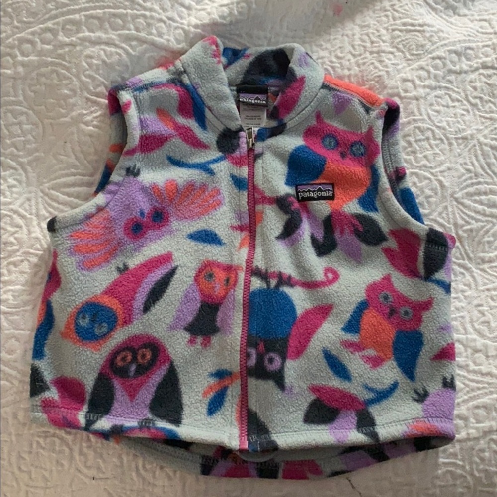 Patagonia vest
